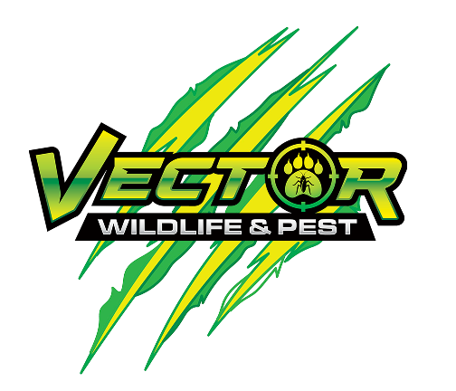 Vector Pest Control - Wildlife and Pest Control Brevard County