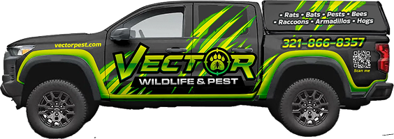 Vector Pest Control service vehicle
