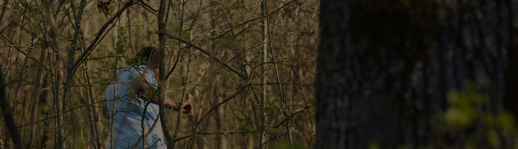 Pest and wildlife control services background